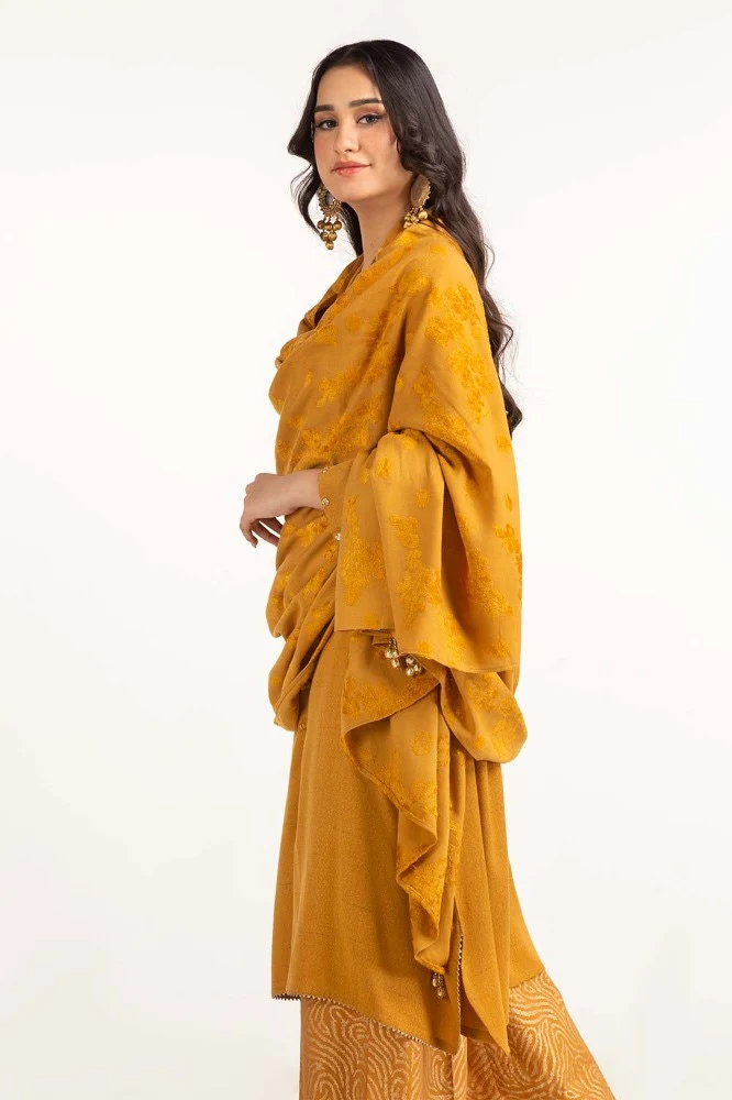 Dyed Acrylic Viscose Shirt With Velvet Jacqauard Dupatta - Image 5