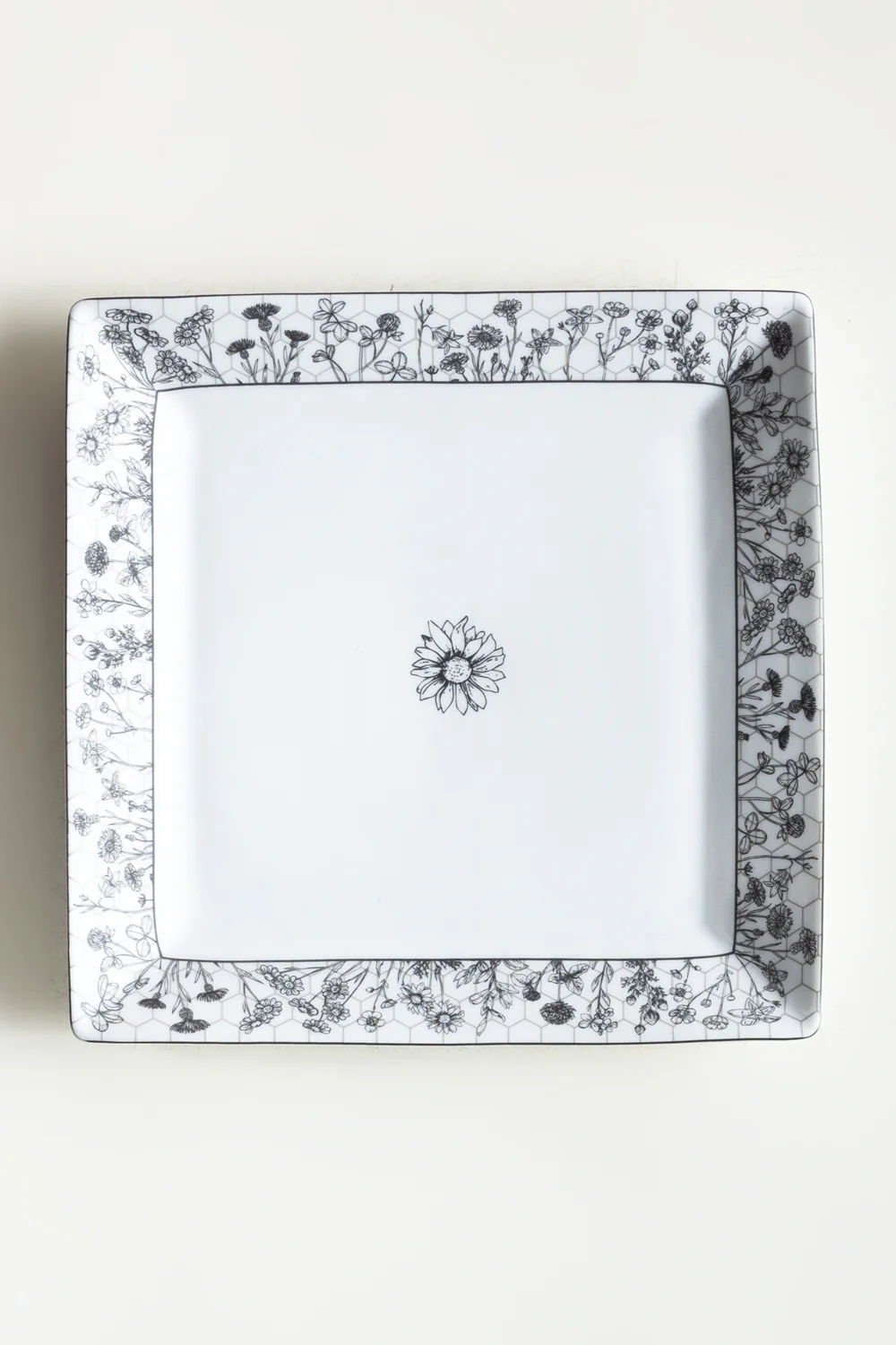 Fusion Dinner Plate