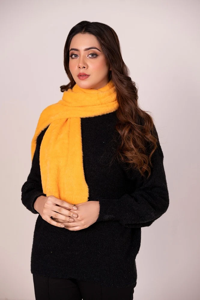 Muffler - Image 2
