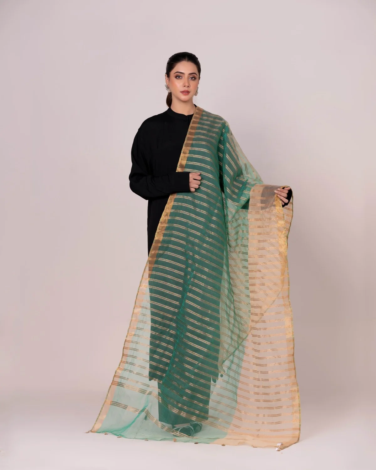 Odhani Embllished Dupatta