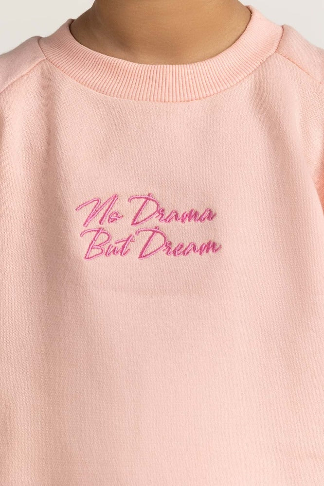 Pink Embroidered Sweatshirt - Image 6