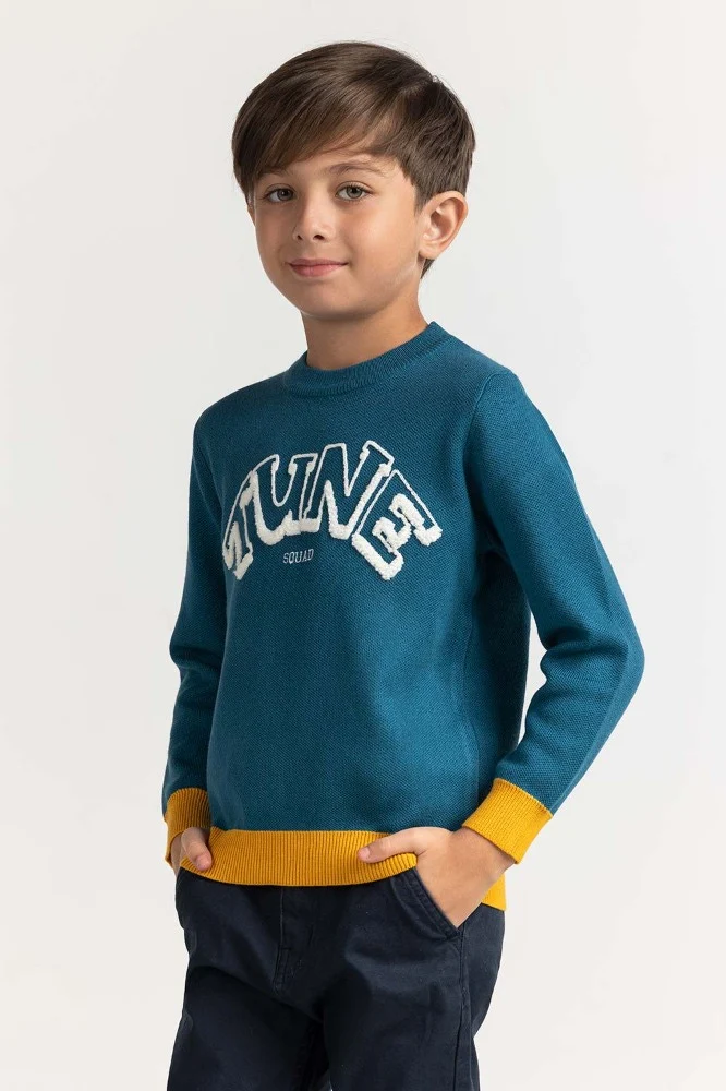 Toddler Boy Blue Basic Sweater - Image 5